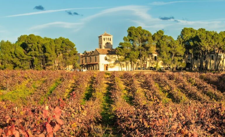 La localidad valenciana donde nació Pablo Motos y que ha sido elegida como ciudad Española del Vino 2026