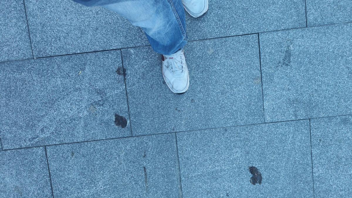 MULTAS CACAS PERRO | Aller se blinda contra las cacas caninas: El Ayuntamiento pondrá en marcha para 2026 el registro del ADN de los perros para identificar a quienes no recojan los excrementos