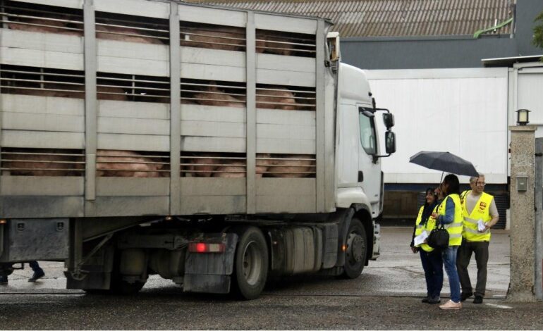 El Grupo Jorge suspende a 300 trabajadores temporales de su matadero en Osona