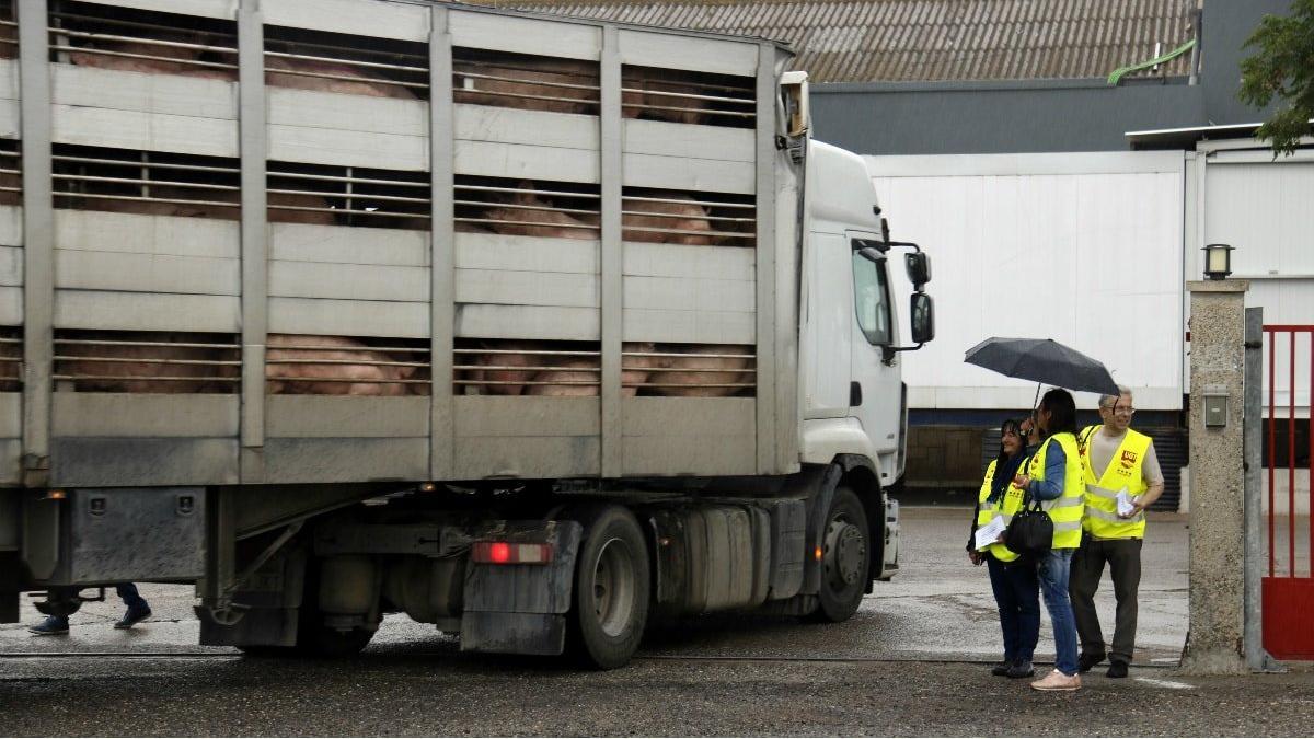El Grupo Jorge suspende a 300 trabajadores temporales de su matadero en Osona