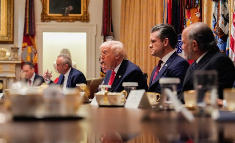 Vamos a acabar con esos hijos de perra