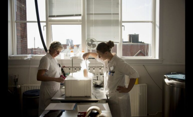 Un donante con un gen cancerígeno engendró casi 200 niños en Europa