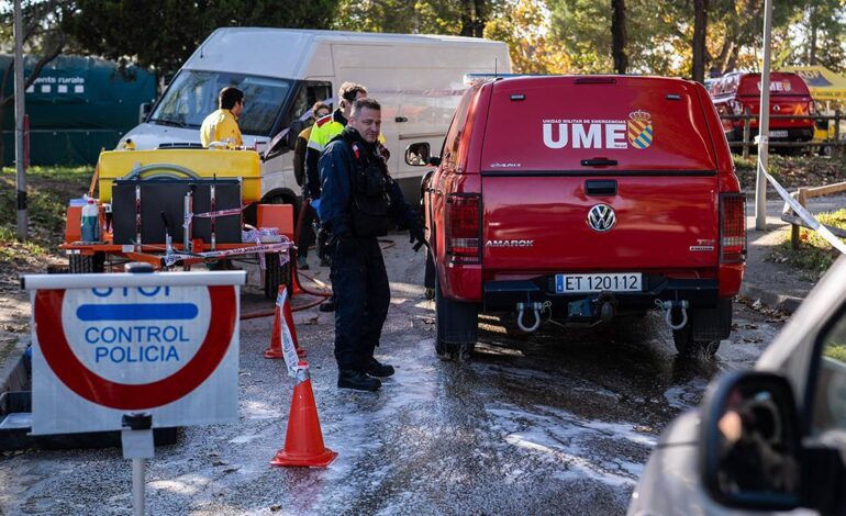 La peste porcina Cataluña | La primera factura: 12 millones de euros menos y vetos a la carne española en 40 países