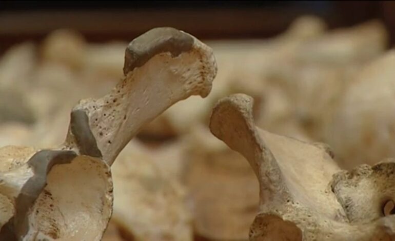 ¿Qué pasó el 4 de diciembre?