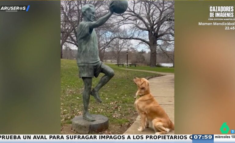 El entrañable vídeo viral del Golden retriever que espera que una estatua le lance la pelota