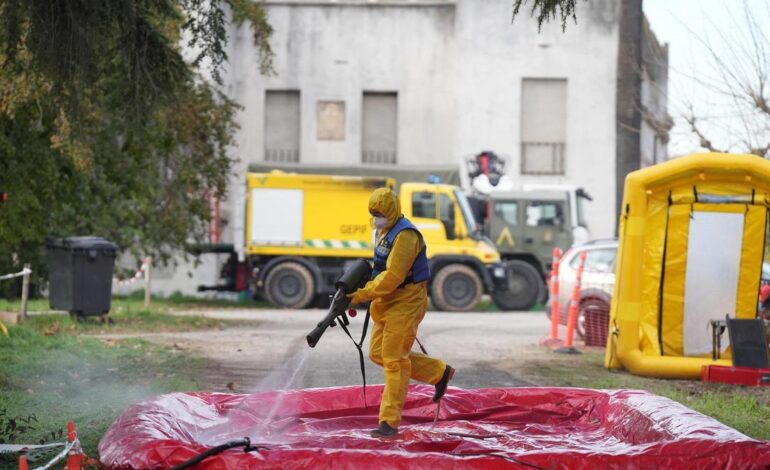 El Govern sostiene que «la mayoría» de los 50 jabalíes muertos en Collserola son negativos en peste porcina