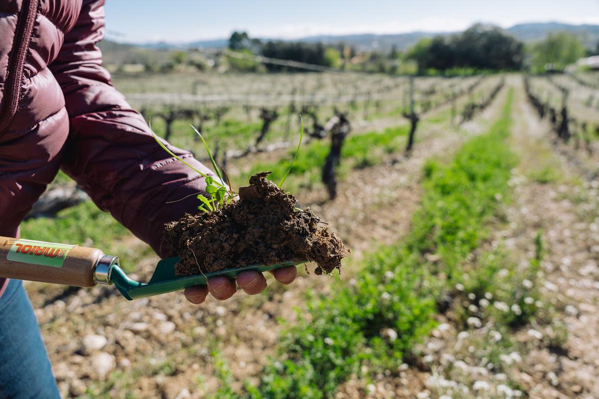 Agroecología, una de las claves de la salud humana