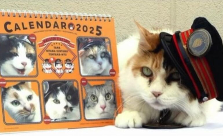 Japón despide con honores a Nitama, la famosa gata jefa de una estación de tren