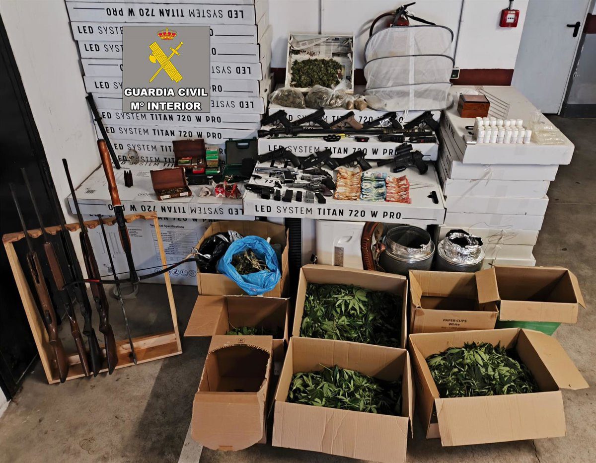 Investigan a un hombre relacionado con plantación de marihuana, drogas y armas halladas en una casa en Selva