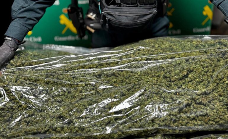 Detenido un hombre que circulaba con nueve kilos de cannabispor la A-2 en Soria