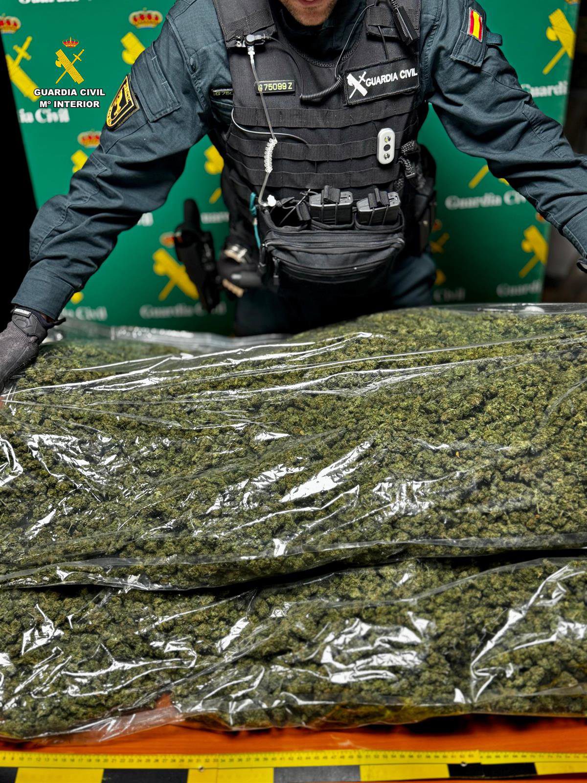 Detenido un hombre que circulaba con nueve kilos de cannabispor la A-2 en Soria