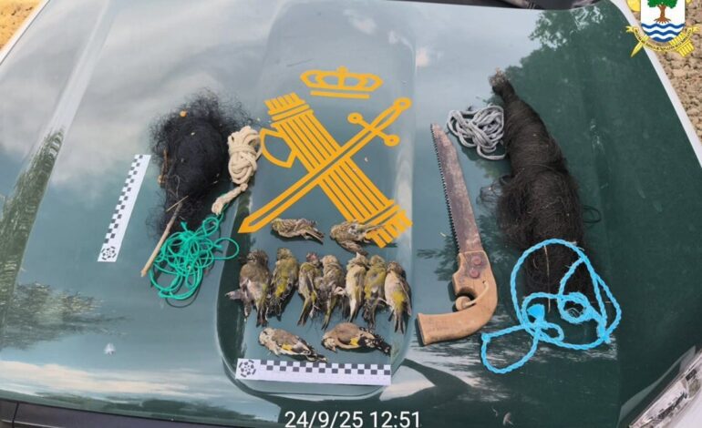 Investigado un acusado de capturar más de 40 aves con artes prohibidas en la barriada de Santa Cruz, en Córdoba