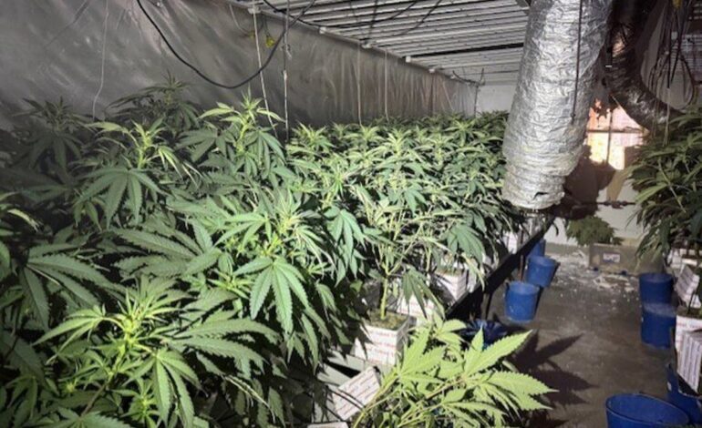 Dos incendios en domicilios del distrito de Sant Martí de Barcelona destapan cultivos de marihuana