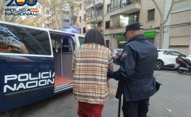 Un detenido por intentar robar el móvil a una mujer y amenazar con una barra de hierro a su pareja en Palma