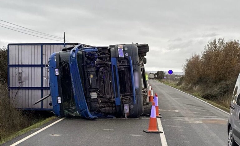Vuelca un camión que transportaba ganado en la CC-158 en Montehermoso tras salirse de la vía
