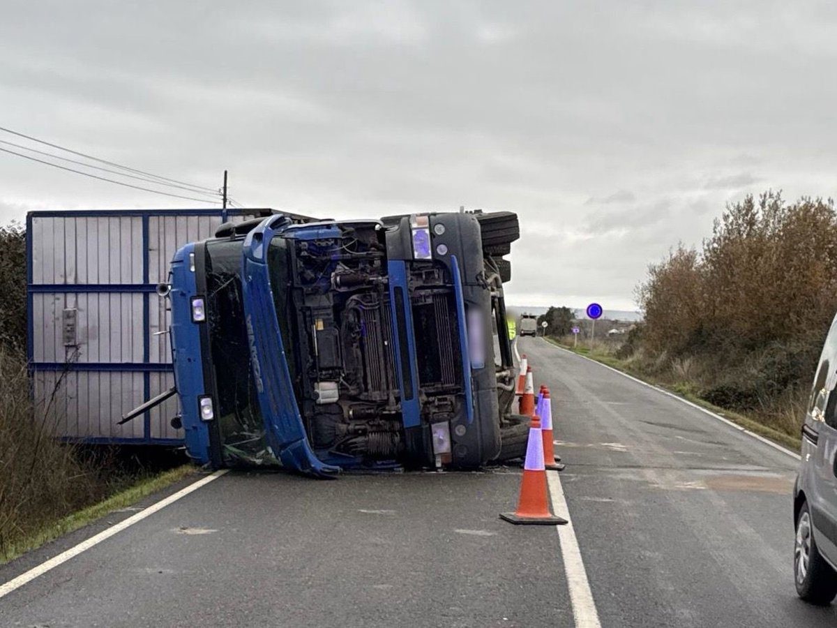 Vuelca un camión que transportaba ganado en la CC-158 en Montehermoso tras salirse de la vía