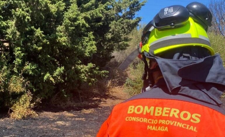 Bomberos trabajan para sofocar un incendio en una nave con materiales de reciclaje en Alzira