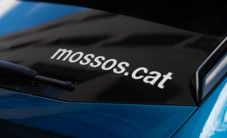 Detenido por presuntamente matar a su pareja en Riudecanyes (Tarragona) en septiembre