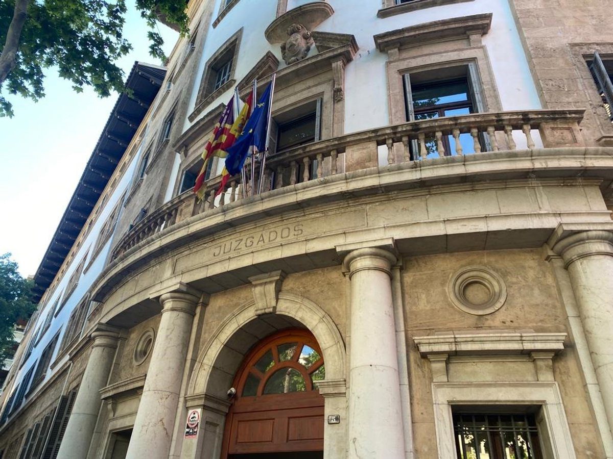 En libertad los nueve detenidos por provocar un altercado en un avión en el aeropuerto de Palma