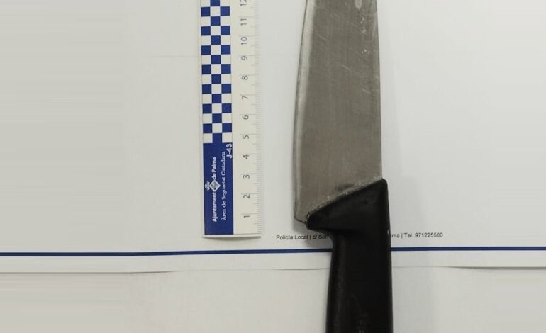 Detenida una mujer por agredir y amenazar a otra con un cuchillo de grandes dimensiones en Palma