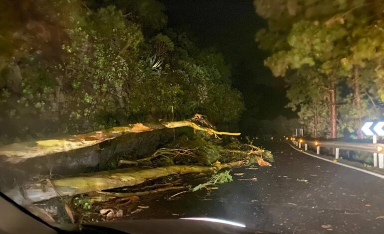 Canarias pide «prudencia» a la población para esta tarde, cuando se espera que la borrasca ‘Emilia’ se intensifique