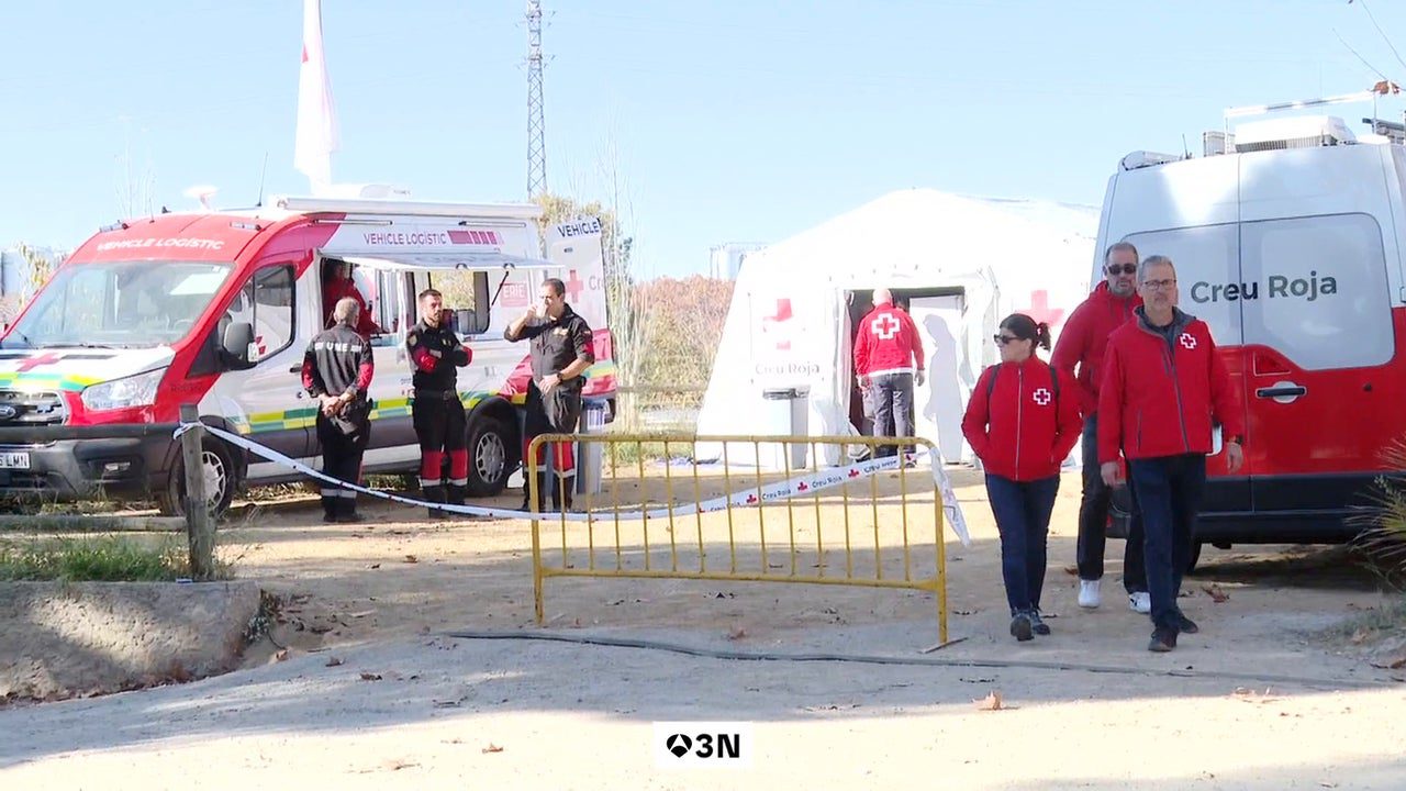 La Generalitat flexibilizará el lunes las restricciones en el medio natural tras el brote de peste porcina africana