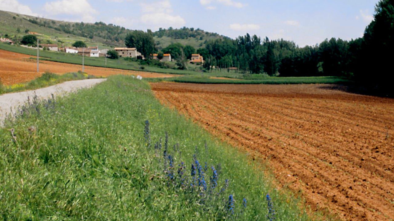 así es la vida de Fernando en un pequeño enclave de Soria