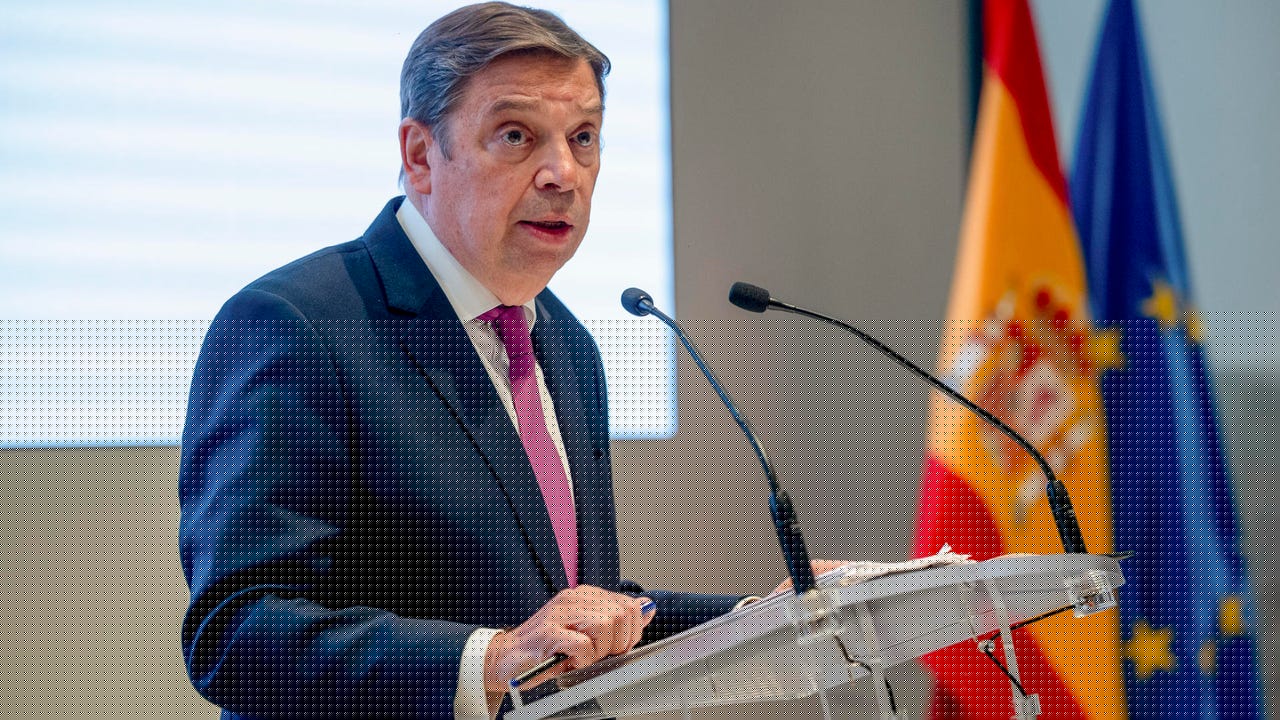 Planas llama a la calma ante el foco de peste porcina que podría provenir de un bocadillo o «elemento de alimentación humana»