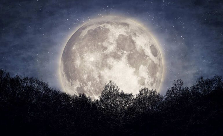 Renueva la energía de tu casa abriendo las ventanas de par en par durante mínimo 20 minutos