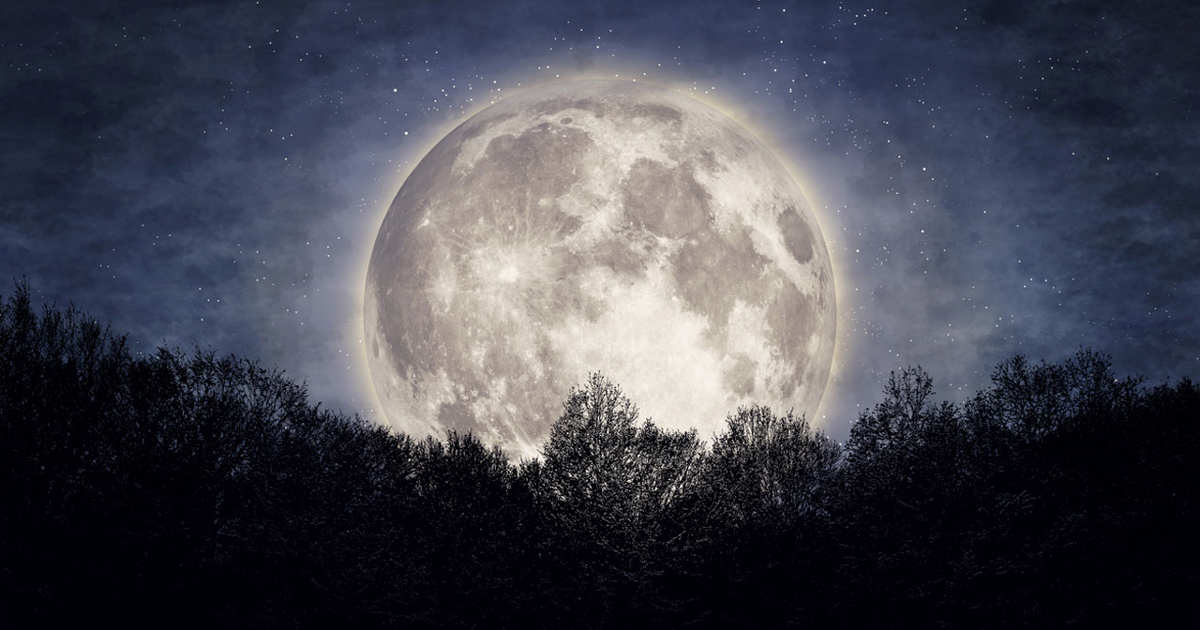 Renueva la energía de tu casa abriendo las ventanas de par en par durante mínimo 20 minutos