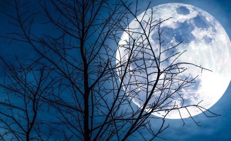 Recarga tu cuerpo con respiraciones vigorosas antes de la Luna llena fría