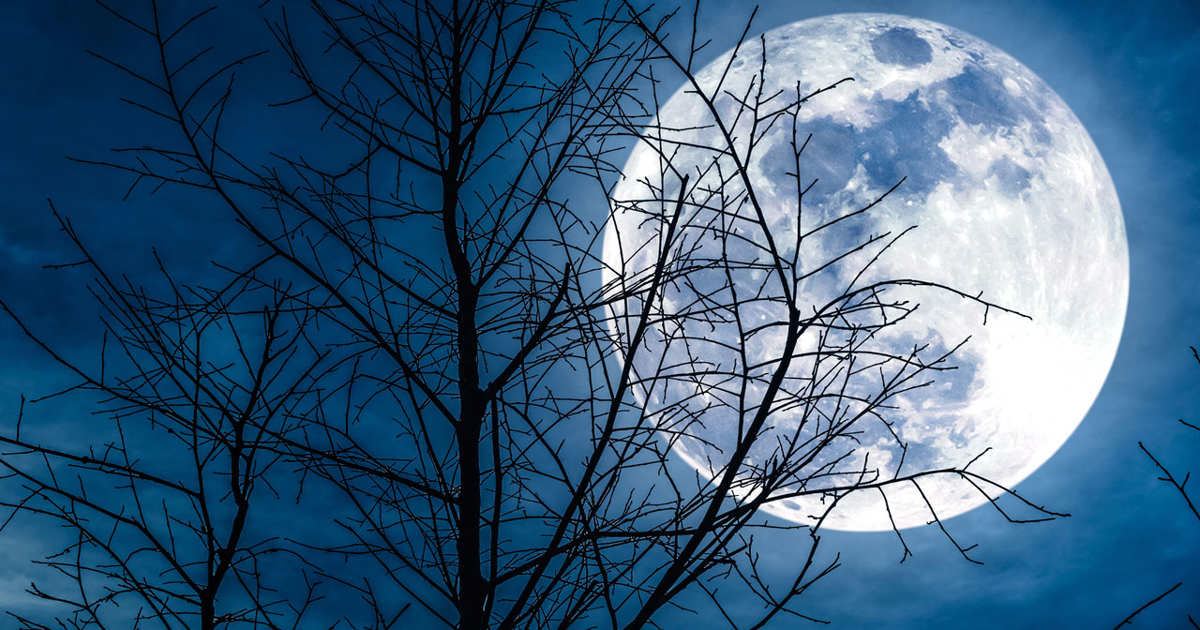 Recarga tu cuerpo con respiraciones vigorosas antes de la Luna llena fría