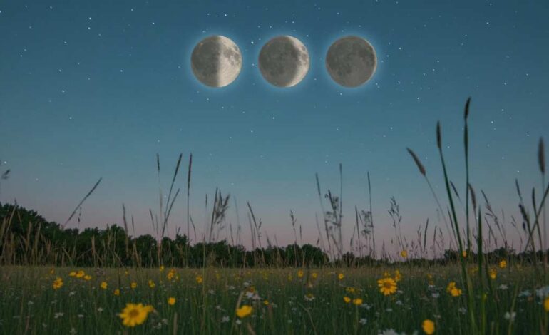 Cuidado con la impulsividad. Respira dos veces antes de actuar y planifica tus siguientes pasos