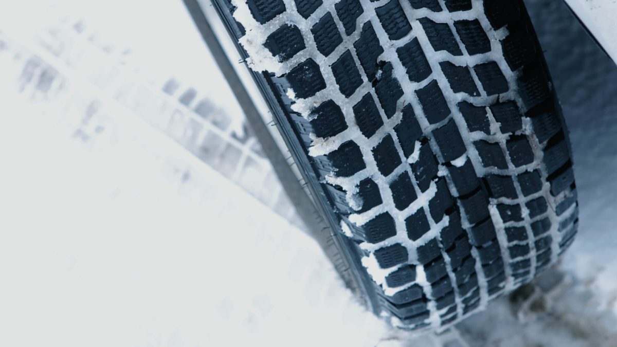 ¿en qué partes de España son obligatorios? Esto dice la ley