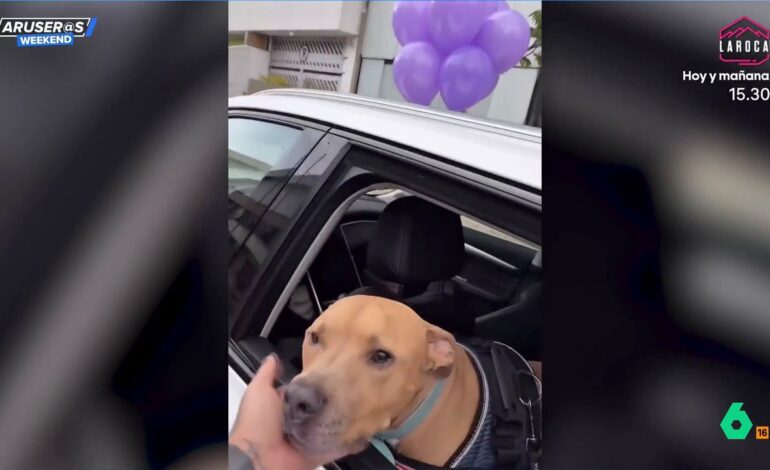 el vídeo de cómo celebra un joven que su querido Magnus ya está recuperado