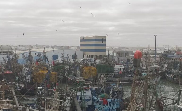 El puerto de El Aaioún, en el Sáhara, se digitaliza para aumentar su eficacia