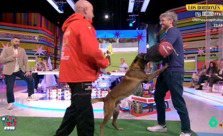 así es su espectacular exhibición de obediencia