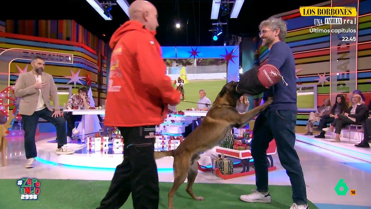 así es su espectacular exhibición de obediencia