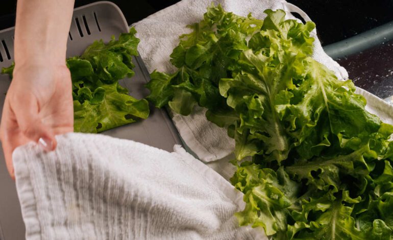 6 pasos del tecnólogo en alimentos Mario Sánchez