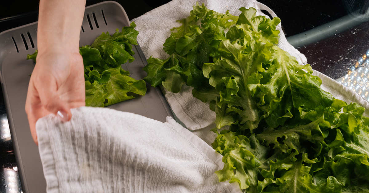 6 pasos del tecnólogo en alimentos Mario Sánchez