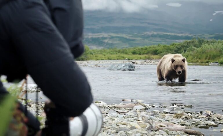 El tenso momento de un oso grizzly al establecer contacto visual con Patricia Conde: «Ha acabado mi día»
