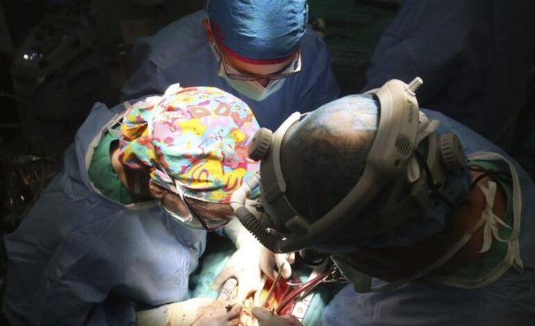 Una prometedora terapia combinada para el cáncer de ovario resistente