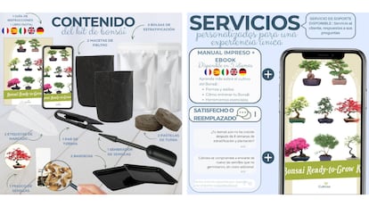 Este kit de cultivo de bonsái ofrece todos los accesorios necesarios.