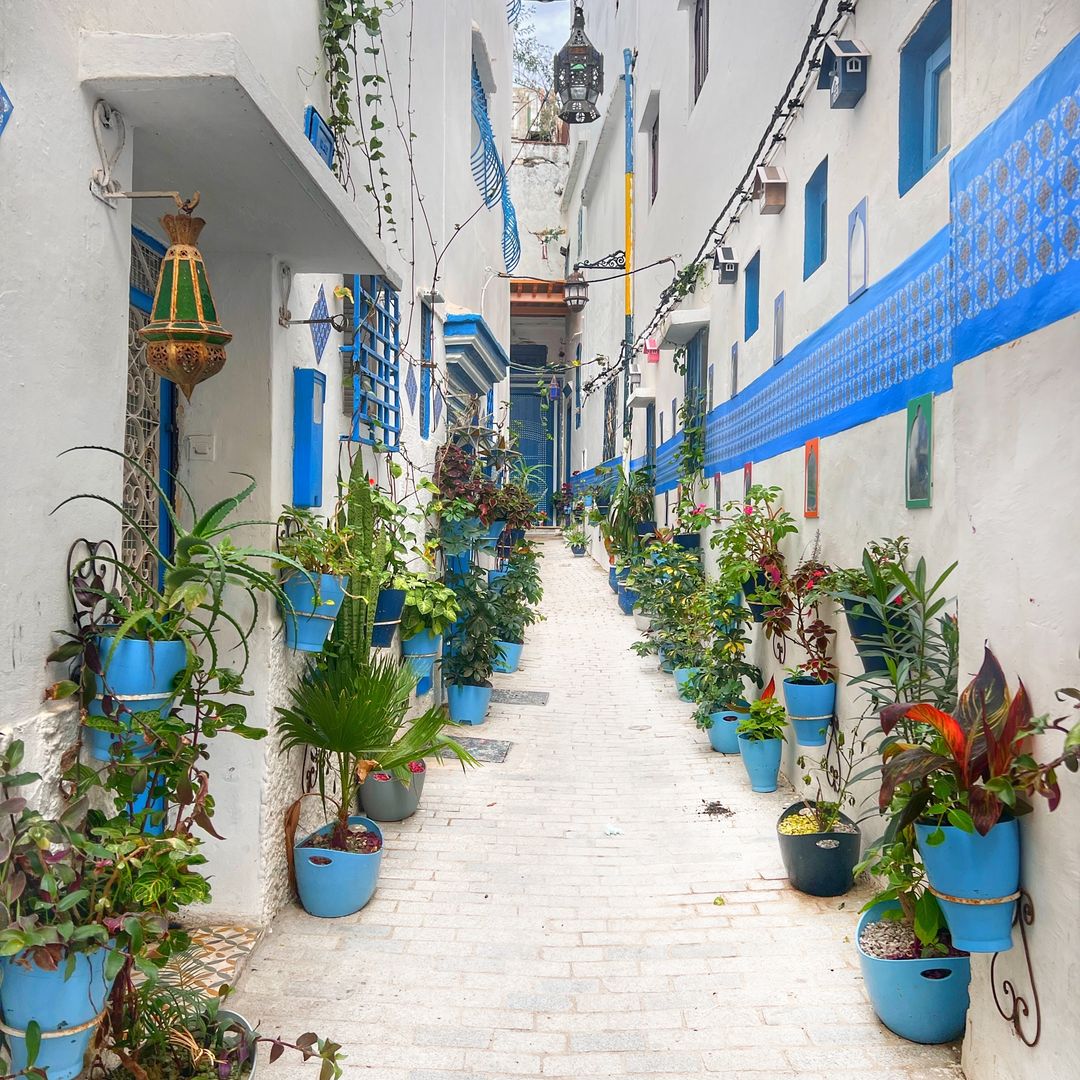 Medina de Tánger. Marruecos