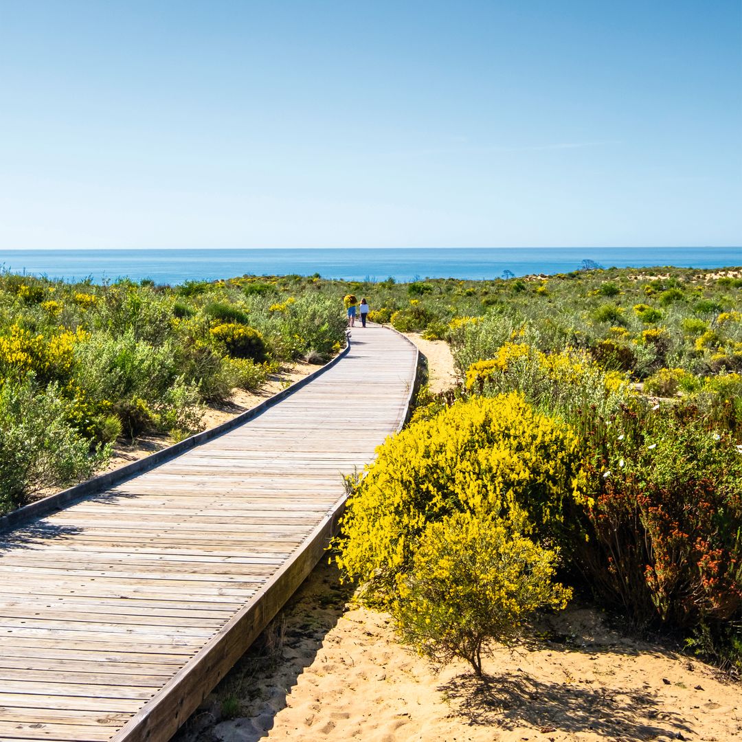 Parque Nacional de Doñana, Huelva