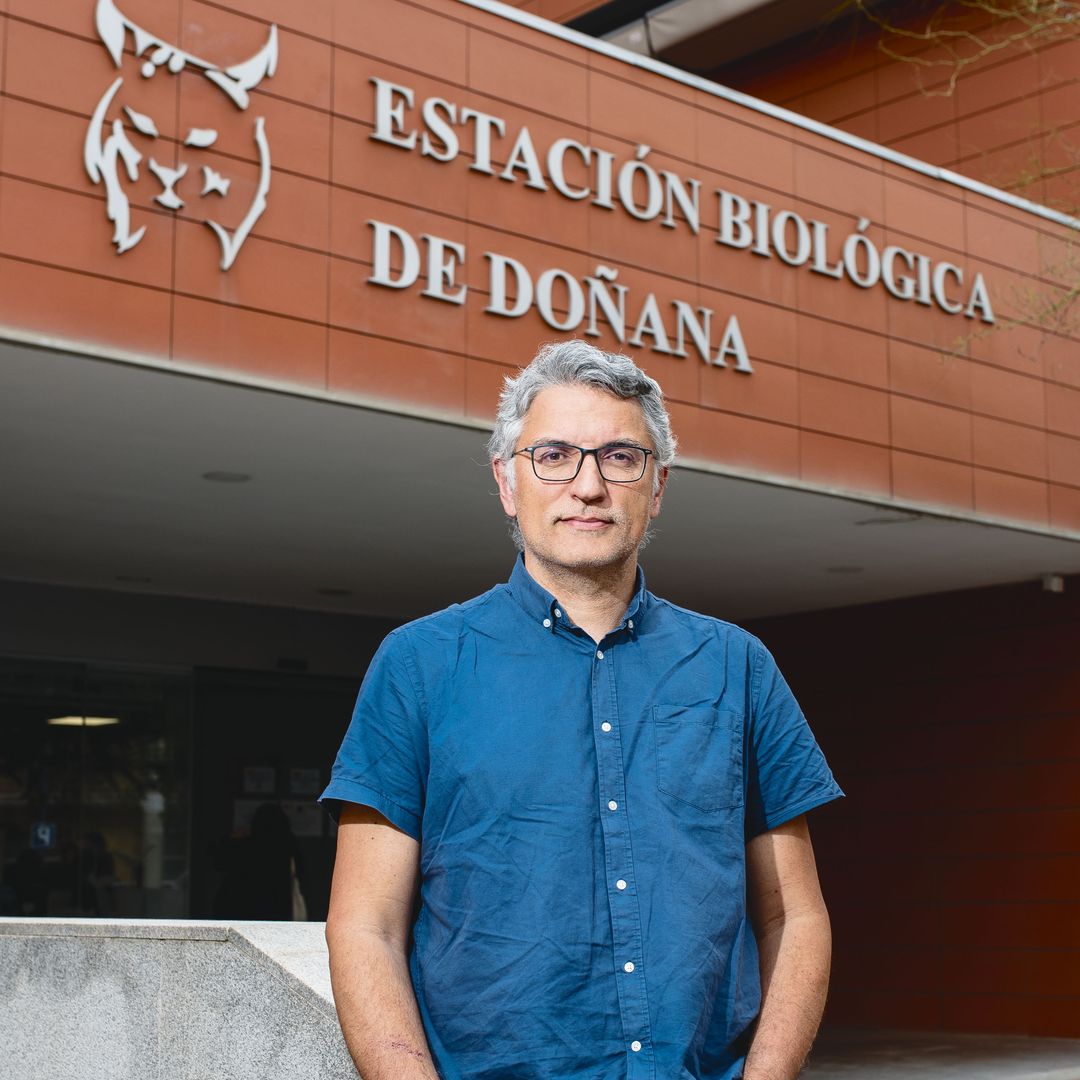 El biólogo Eloy Revilla, director de la Estación Biológica de Doñana