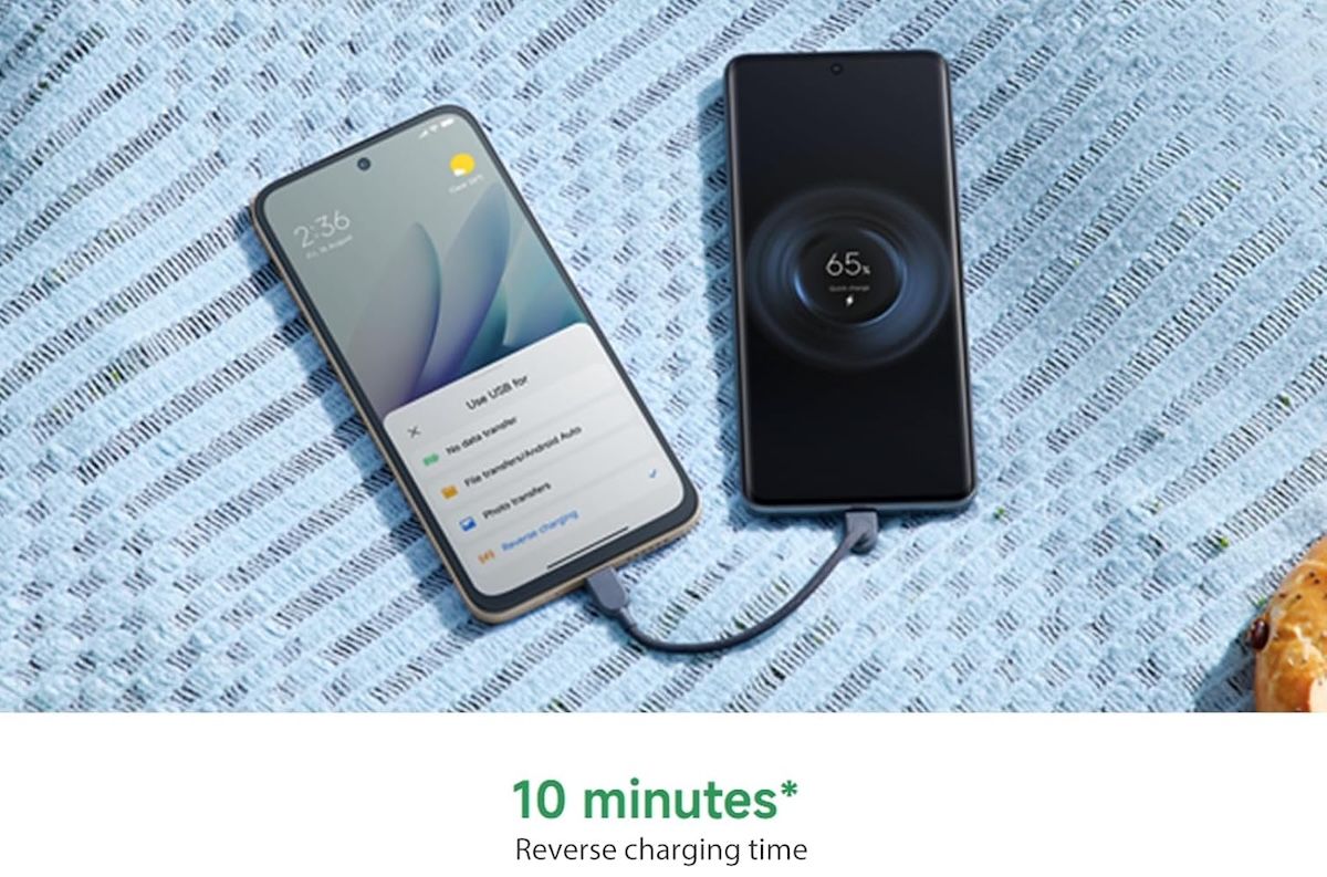 Imagen que muestra la carga reversible