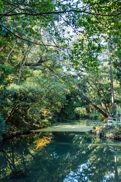 El Gran Santuario de Ise es un lugar que invita a la paz.