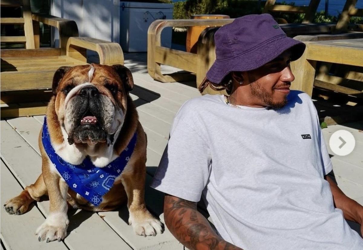 Lewis Hamilton, con su bulldog Roscoe, ya fallecido, en una de sus mansiones.