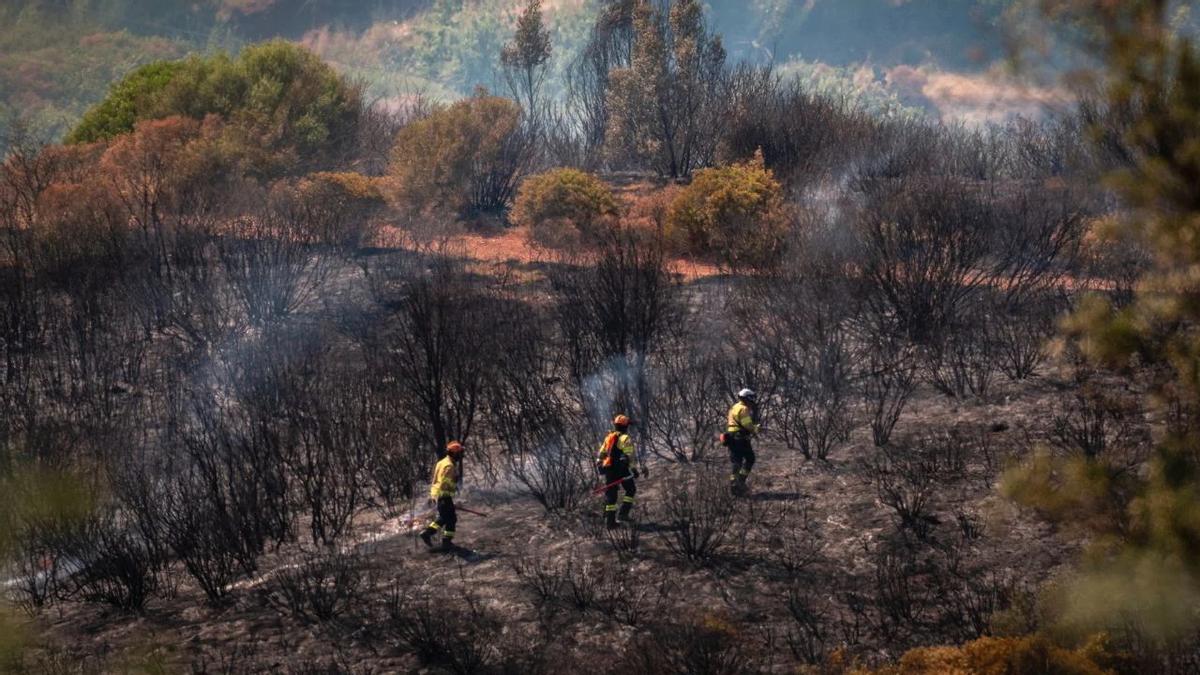 Zona quemada por un incendio.